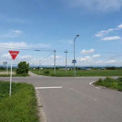 田園地帯の信号のない交差点と止まれ標識